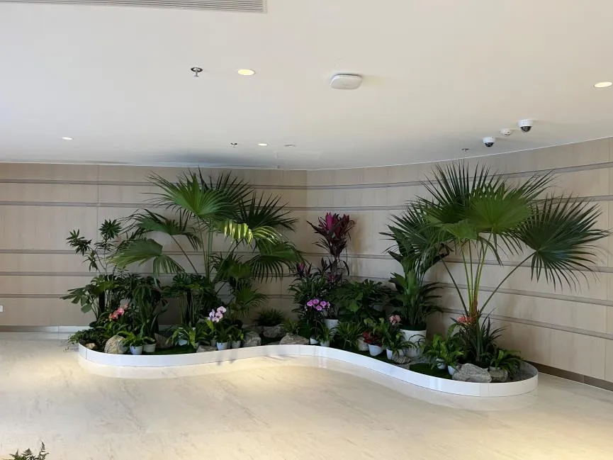 探秘宁波奉化绿化养护哪家优，答案就在这里！